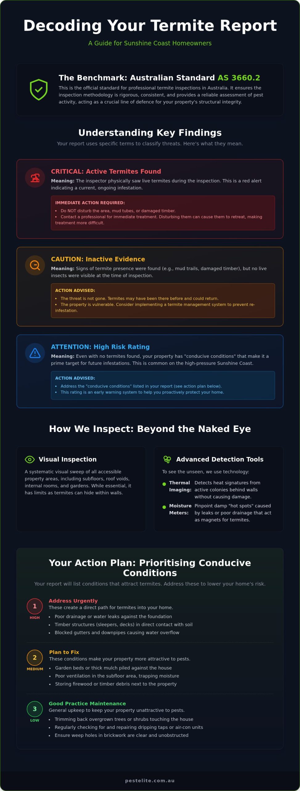 How to Read a Termite Inspection Report: A Sunshine Coast Homeowner’s Guide